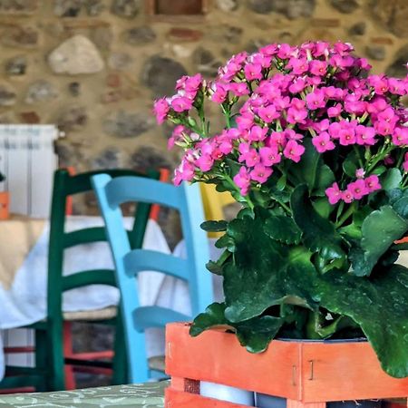 La Quinta Decima Bioagriturismo Fattoria Spedaletto Dış mekan fotoğraf