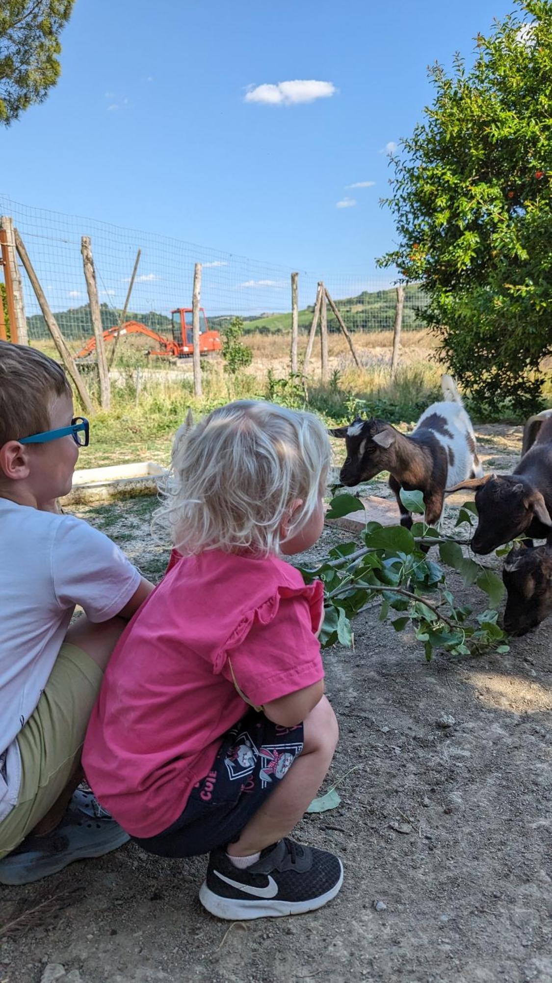 La Quinta Decima Bioagriturismo Fattoria Spedaletto Dış mekan fotoğraf