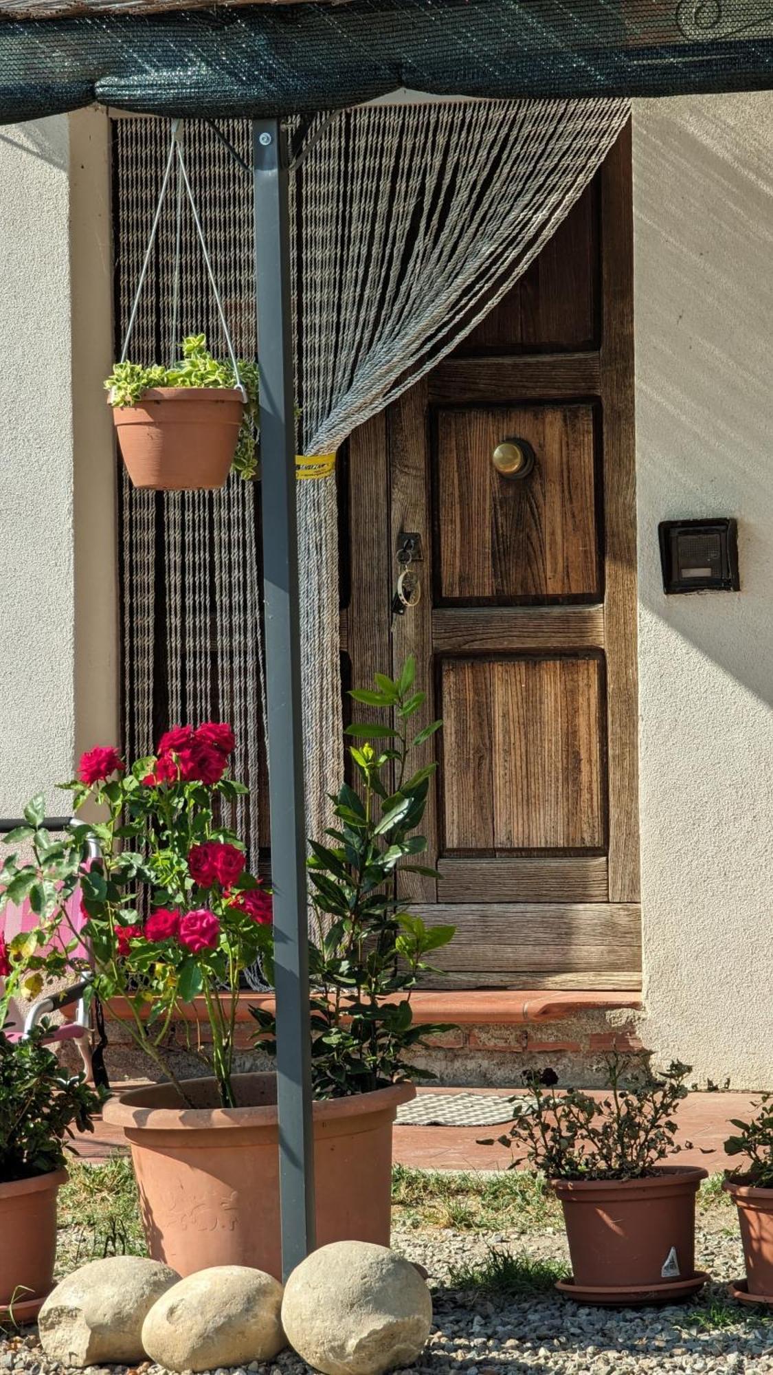 La Quinta Decima Bioagriturismo Fattoria Spedaletto Dış mekan fotoğraf
