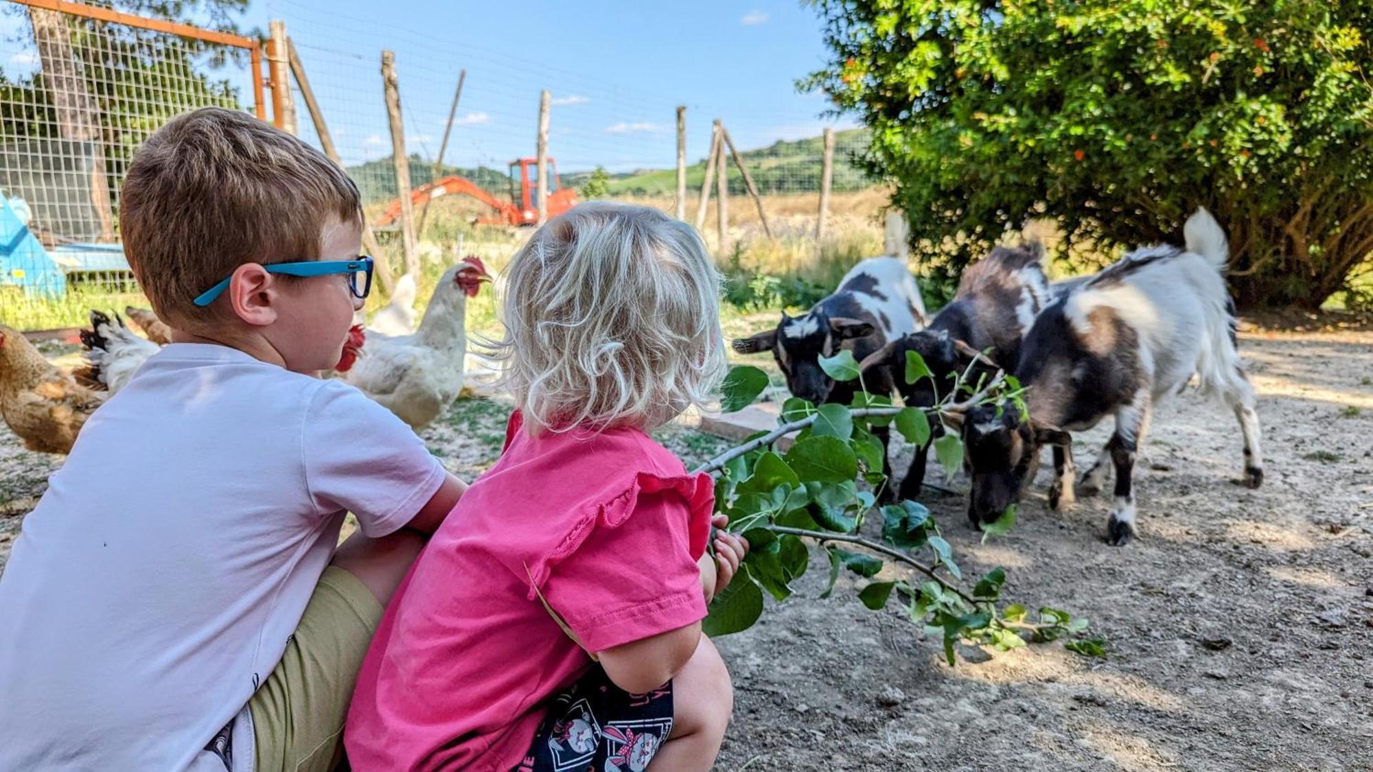La Quinta Decima Bioagriturismo Fattoria Spedaletto Dış mekan fotoğraf